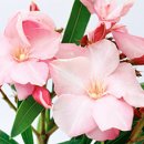 생활일본어 이미지