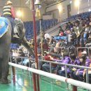 레포츠 캠프 이미지