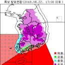 제주공항, 5시 이후 항공편 모두 결항 이미지