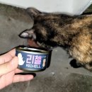 토담골막창앤곱창 이미지