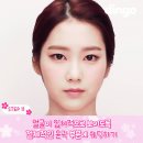 마이딩고 이미지