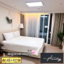 서프리조트 제이디 양양 내돈내산 후기 [클럽라운지 THE F1RST THING 풀파티]