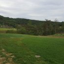 파라지오 컨트리클럽 이미지