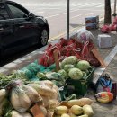 와싸다 장터 이미지