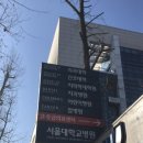 내가본꽃씨 | 서울대학교어린이병원 🌱꿈틀꽃씨🌱 ‘20기 나누미 ’ 최종합격 후기