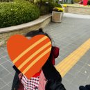 네바퀴 | 2026 한강 드론라이트쇼 일정 총정리! 아이와 낮에는 네바퀴 자전거, 밤에는 야경까지 완벽코스