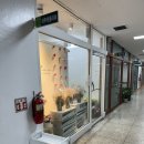 라무르플라워