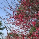 김종욱농장 이미지