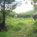 신미목장 이미지