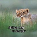 네일뮤지엄