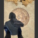 일승공인중개사사무소 이미지