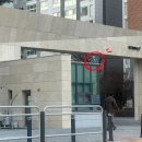 휘트니스 팜 마곡센터 | 강서구 마곡 수영장 엠스타휘트니스 주차 자유수영