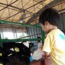 건우목장 이미지