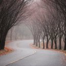 왕건모텔 이미지