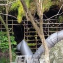 봉개동 고냉이술굴 네이버블로그