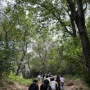 민안초등 이미지