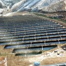 대산 태양광발전소 이미지