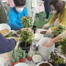 생활원예(반려식물) 이미지