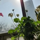 성베드로한방병원 이미지