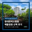 현대유비스병원 | 인천 현대유비스병원 해뜰정원 산책 후기