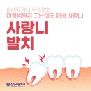 늘솜치과의원 | 경기 오산시 임플란트 치과 비용 정보, 치료비 70%까지 정부지원금 받는 방법