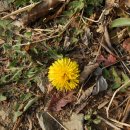 원식농장 이미지