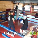 맥스복싱짐 네이버블로그