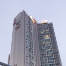 수변풍천장어 이미지