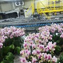 사계절꽃집 이미지