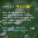 오늘은 9월의 첫날 이미지