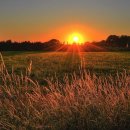 은아영재어린이집 이미지