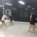대덕킥복싱MMA 이미지