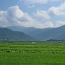 구만농장 이미지