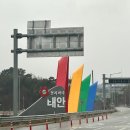 하얀고래펜션 | 태안 독채펜션 애견동반 가능 &#39;하얀고래풀빌라&#39; 내돈내산 후기