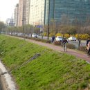 도심속의 평화 이미지