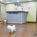 애견호텔 이미지