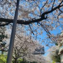 티엔티학원 이미지