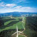 일등태양광발전소 이미지