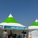 미성동-25 | [전북 군산 /제20회 군산 꽁당보리축제 ] 2025년 4월 25일(금) 방문 후기