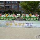 서울대학교사범대학부설초등학교 이미지