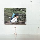 하루가 길게 만 느껴지고 삶이 지루하게 느껴 질 때... 이미지