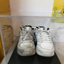 펭귄세탁 이미지