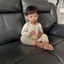 시화로1L 이미지