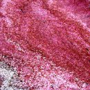 강진중학교 이미지