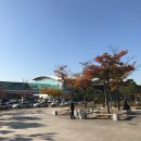 11월의 코타키나발루 1 (수트라하버퍼시픽,위즈마메르데카,이펑락사,이마고몰,히퍼,요요,조이마사지...