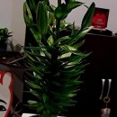 일산현대약국 | 일산마사지 추천, 건강한 일상으로 돌아가는 나만의 루틴