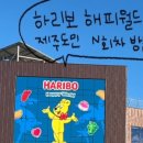 오등감귤체험관광농원