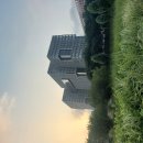 26-7/16-목 도시락-아침밥 안양천구로구Line-수국꽃/백일홍 빵-점심/저녁 이미지