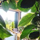 완도LOWA 이미지