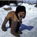 이색어담 이미지